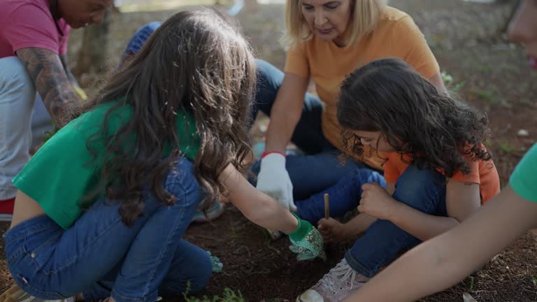 Trusted Livermore, CA Tree Services Experts